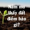 Nằm mơ thấy đất là điềm báo gì? Đánh đề con gì? Số mấy?