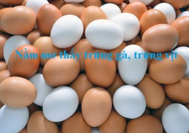 Nằm mơ thấy trứng g&agrave;, trứng vịt l&agrave; điềm g&igrave;, đ&aacute;nh đề con g&igrave;?