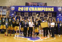 đội tuyển b&oacute;ng rổ việt nam