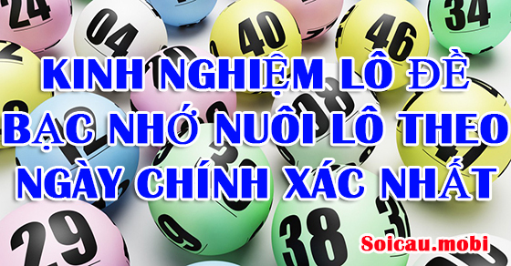 Kinh nghiệm nuôi lô theo ngày từ lô rơi theo lô