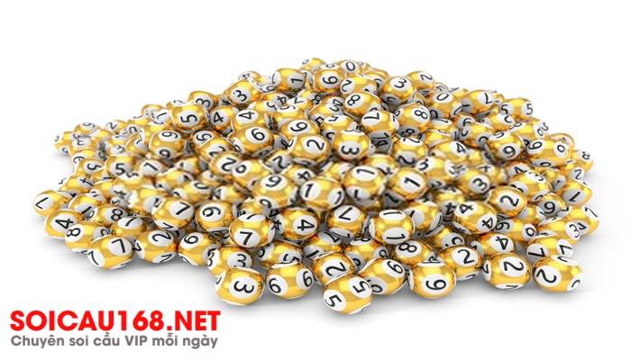 Nu&ocirc;i d&agrave;n đề 36 số khung 3 ng&agrave;y